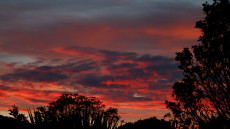 Sunrise over Mount Hagen
