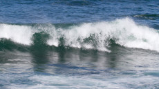 Seafront, Monterey Bay, CA