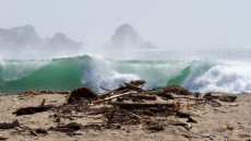 Alfred Molera State Park