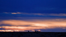 Sunset over the paddocks