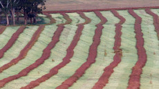 Farmland outside the National Park