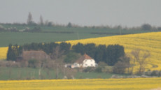View over the marshes