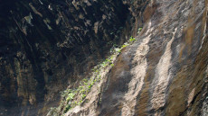 Gomontong Caves