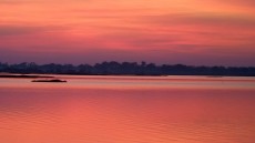 Sunrise over the Pantanal