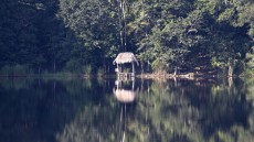 Hotel lake near Flores