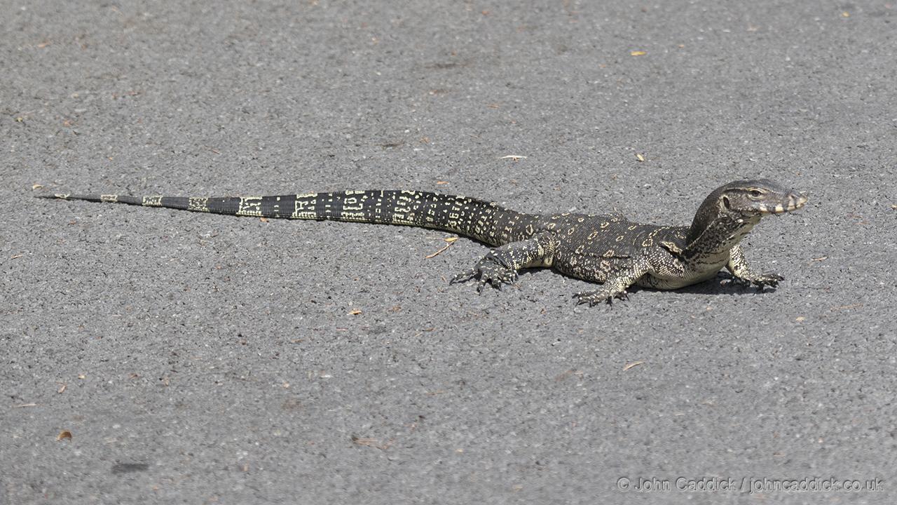 Asian Water Monitor