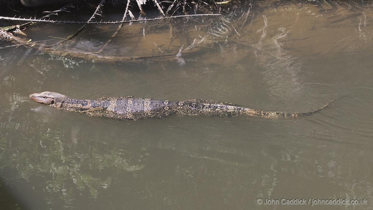 Asian Water Monitor