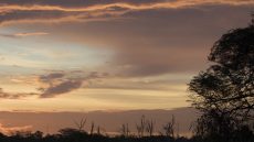Sunset at Caroni Swamp