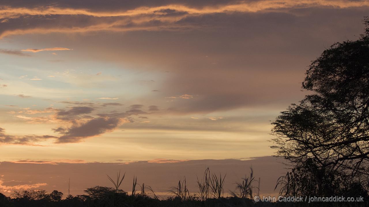 Sunset at Caroni Swamp