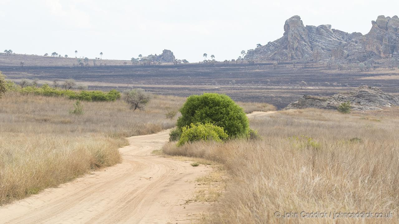Madagascar desert and mountains